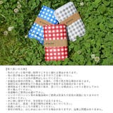 春夏新作 レジャーシート ピクニックシート | shop kilakila | 詳細画像12 