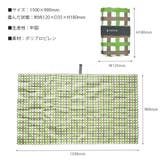春夏新作 レジャーシート ピクニックシート | shop kilakila | 詳細画像3 