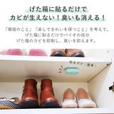 パワーバイオげた箱のカビきれい げた箱 下駄箱 | shop kilakila | 詳細画像4