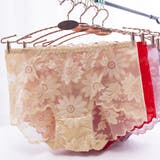 レースショーツ セクシー ショーツ単品 | shoppinggo | 詳細画像4