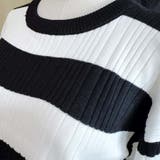 ニットトップス ボーダー柄 ニットソー レディース シンプル セーター | shoppinggo | 詳細画像24 