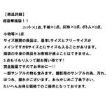 レディース超お得福袋5点入り福袋 | shoppinggo | 詳細画像2 