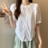 ブラウス バックリボン シャツトップス半袖 | shoppinggo | 詳細画像9 