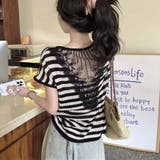 ブラックボーダー | 夏新作 サマーニット 背中レース付き | shoppinggo