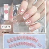 ネイルチップ ショート シンプル | shoppinggo | 詳細画像1 