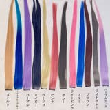 カラーエクステ 12色 ウイッグ | shoppinggo | 詳細画像2 
