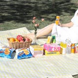 レジャーシート チェック ピクニックシート | shoppinggo | 詳細画像2