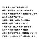 レディース超お得福袋バック2点入り福袋 | shoppinggo | 詳細画像3 