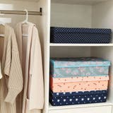 下着収納17マス 星 仕切り | shoppinggo | 詳細画像9 