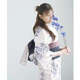 京の淡宵竜胆 | 浴衣 セット レディース | Dita