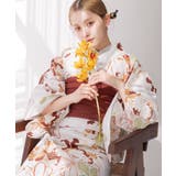 12.夕紅の古典菊 | 浴衣 セット セパレート | Dita
