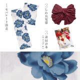 浴衣 セット セパレート | Dita | 詳細画像34