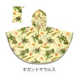 Skater スケーター キッズ | シメファブリック | 詳細画像31
