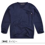 SHI JYOMAN USAコットン | シメファブリック  | 詳細画像9