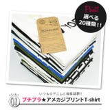 SHISKY シスキー 選べる20種類! | シメファブリック | 詳細画像2