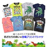 BlueMart ブルーマート 恐竜 | シメファブリック | 詳細画像2