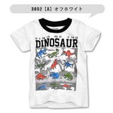 BlueMart ブルーマート 恐竜 | シメファブリック | 詳細画像4