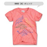 BlueMart ブルーマート 恐竜 | シメファブリック | 詳細画像8