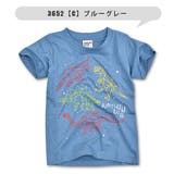 BlueMart ブルーマート 恐竜 | シメファブリック | 詳細画像9