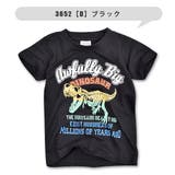 BlueMart ブルーマート 恐竜 | シメファブリック | 詳細画像11