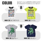 BlueMart ブルーマート 恐竜 | シメファブリック | 詳細画像15