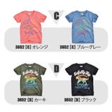BlueMart ブルーマート 恐竜 | シメファブリック | 詳細画像16