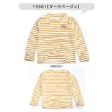 MaterialBluebis マテリアルブルービズ ベロア | シメファブリック | 詳細画像4