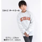 SHISKY 裏起毛 プリント | シメファブリック  | 詳細画像3 
