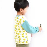 HI!MYZOO 裏毛 アニマル柄 | シメファブリック | 詳細画像9