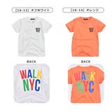 SHISKY シスキー Tシャツ | シメファブリック | 詳細画像15