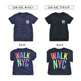 SHISKY シスキー Tシャツ | シメファブリック | 詳細画像16