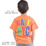 SHISKY シスキー Tシャツ | シメファブリック | 詳細画像6