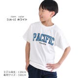SHISKY シスキー Tシャツ | シメファブリック | 詳細画像2