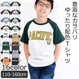 SHISKY シスキー Tシャツ | シメファブリック | 詳細画像1