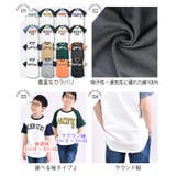 SHISKY シスキー Tシャツ | シメファブリック  | 詳細画像15 