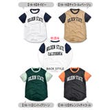 SHISKY シスキー Tシャツ | シメファブリック | 詳細画像12