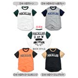 SHISKY シスキー Tシャツ | シメファブリック | 詳細画像13