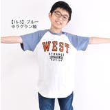 SHISKY シスキー Tシャツ | シメファブリック | 詳細画像8