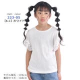 SHISKY シスキー 半袖 | シメファブリック | 詳細画像6
