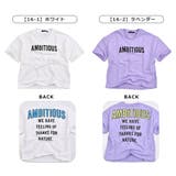 SHISKY シスキー Tシャツ | シメファブリック | 詳細画像2