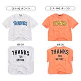 SHISKY シスキー Tシャツ | シメファブリック | 詳細画像6