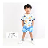 NEVSURF 水陸両用 パンツ | シメファブリック | 詳細画像9