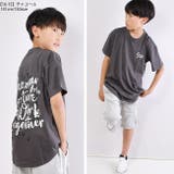 SHISKY シスキー tシャツ | シメファブリック | 詳細画像9