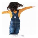 L copeck エルコペック | シメファブリック | 詳細画像3