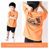 NEV NEVSURF ネブサーフ | シメファブリック | 詳細画像4