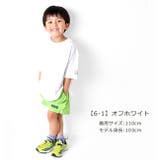 SHISKY シスキー ラウンドヘム | シメファブリック | 詳細画像3