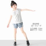 L COPECK エルコペック | シメファブリック | 詳細画像3
