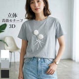 tシャツ レディース 半袖 | SJ ONLINE STORE | 詳細画像1 