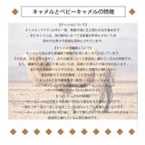 キャメル100% ニット レディース | SJ ONLINE STORE | 詳細画像17 