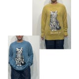 ニット レディース 秋冬 | SJ ONLINE STORE | 詳細画像8 